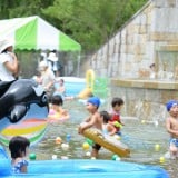 要出典 花フェスタ記念公園 じゃぶじゃぶ池