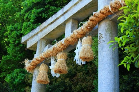 風景 神社 参拝 鳥居