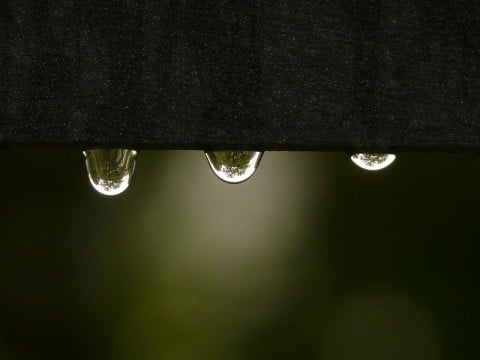 雨