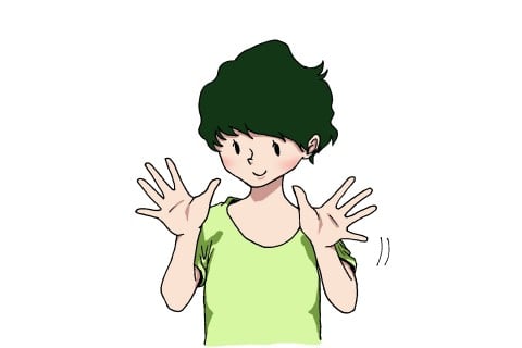 キャベツ24