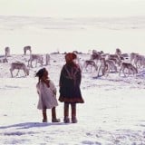 女の子5歳 女の子10歳 姉妹 鹿 寒い 雪