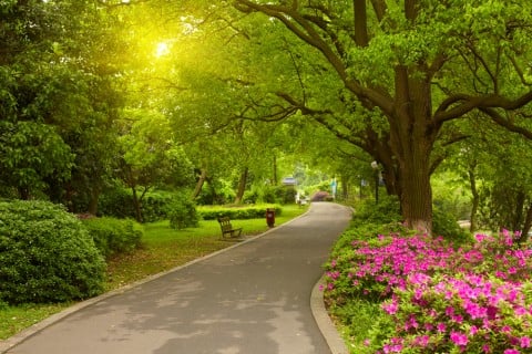 風景 公園