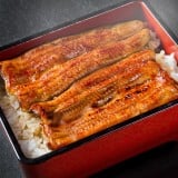 うなぎ