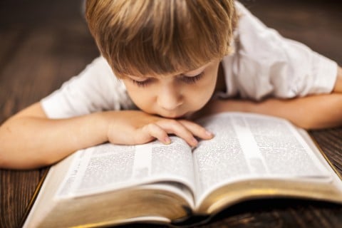 男の子 勉強 本 調べる