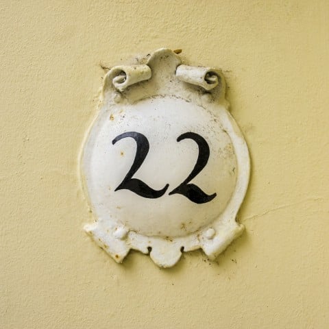22