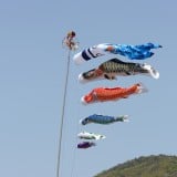 こどもの日 鯉のぼり