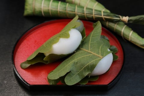 柏餅 こどもの日 端午の節句