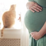 妊婦 猫 妊娠中 室内