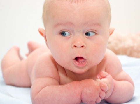 shutterstock_244573636
