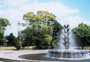 要出典 じゃぶじゃぶ池 榴岡公園
