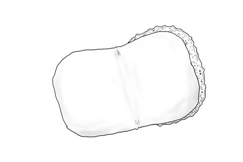 トッポンチーノ イラスト