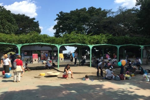 飛鳥山公園 ランチ 食事