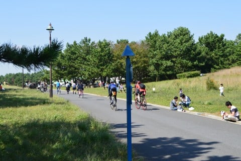 葛西臨海公園 ランチ