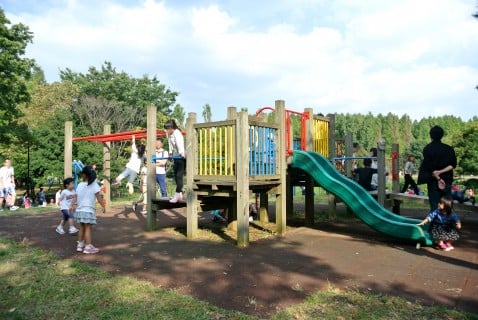 水元公園 遊具 アスレチック