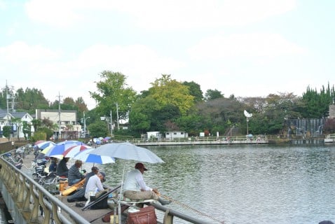 水元公園 釣り