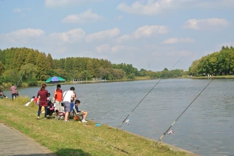 水元公園 釣り 子供