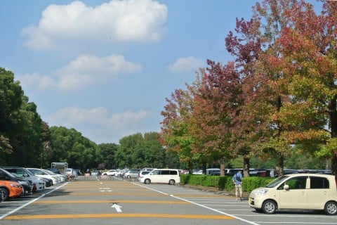 水元公園 駐車場