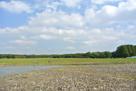 水元公園 水遊び 広場