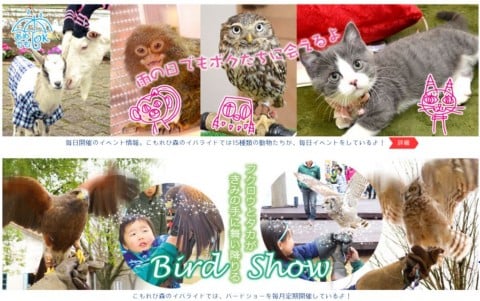 要出典 関東 遊び場 赤ちゃん こもれび森のイバライド (旧名:江戸崎農業公園ポティロンの森)