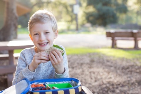 子供 弁当 ランチ 外 ピクニック 男の子 公園