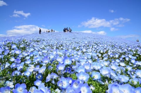 要出典 関東 遊び場 赤ちゃん