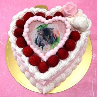 要出典 写真ケーキ お花茶屋コシジ洋菓子店 写真ケーキ スイートハート