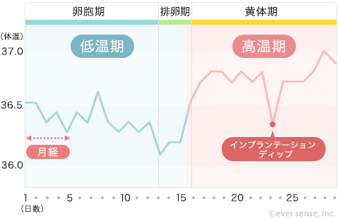 基礎体温表 インプランテーション・ディップ