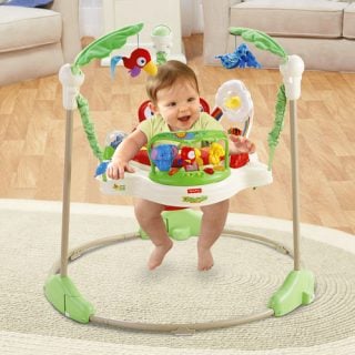 要出典 0歳 1歳 赤ちゃん クリスマスプレゼント フィッシャープライス ジャンパルー