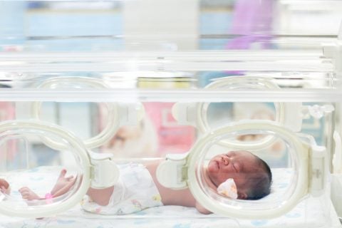 未熟児 NICU 保育器