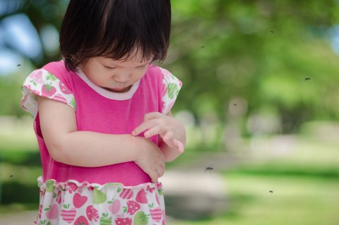 子供 腕 かゆい
