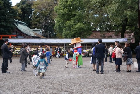 七五三で参拝したい愛知県名古屋市周辺のおすすめ神社8選 - こそだてハック