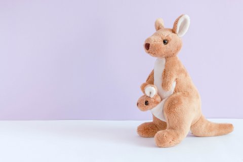 カンガルーケアとは 効果は 事故の危険性はあるの こそだてハック