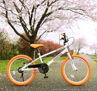 要出典 小学男入学祝い グラフィス 子供用自転車20インチ BMXタイプ