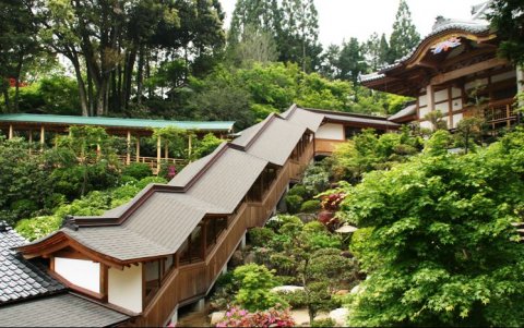 戌の日の安産祈願に人気 九州のおすすめ神社 お寺7選 こそだてハック