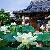 大蓮寺