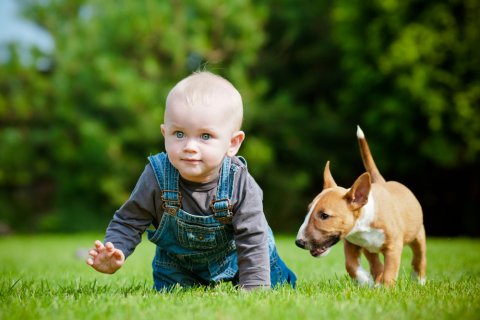 赤ちゃん 男の子 犬 公園
