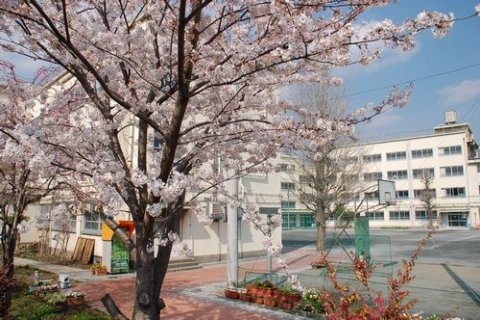 要出典 中野区プール 中野区立第二中学校