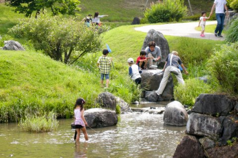 要出典 じゃぶじゃぶ池 けいはんな記念公園 京都府相楽郡