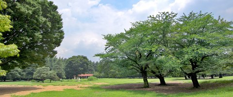 要出典 じゃぶじゃぶ池 光が丘公園 東京都練馬区