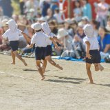 幼稚園 運動会 リレー