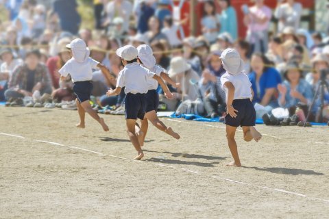 幼稚園 運動会 リレー