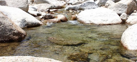 要出典 川遊び 朝明川 グリーンランドあさけ 三重県三重郡