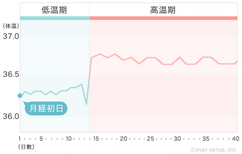 【740px】基礎体温表 ⑥高温期が長い(妊娠してる※使用頻度高め!)