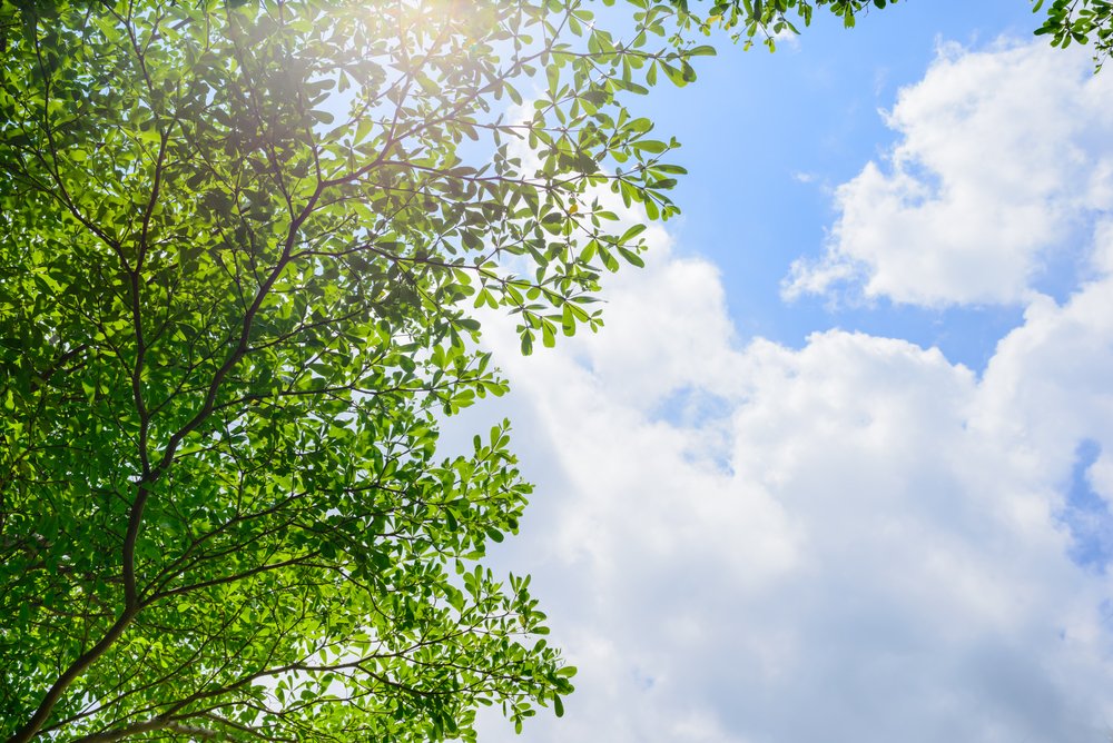 保育園に夏休み 冬休み 春休みはある 特別料金を払えば預かってくれる こそだてハック