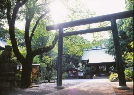 要出典 神奈川 七五三 報徳二宮神社