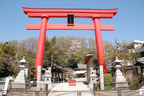 要出典 神奈川 七五三 琴平神社