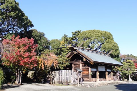 要出典 神奈川 七五三 伊勢山皇大神宮