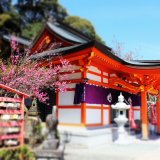 要出典 七五三 九州・沖縄 御館山神社