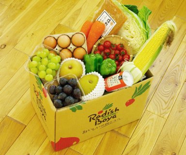 要出典 食材宅配サービス らでぃっしゅぼーや