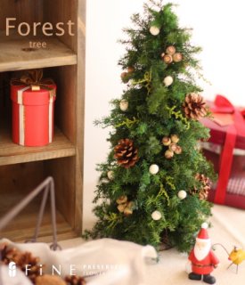 要出典 クリスマスツリー フォレスト・ツリー